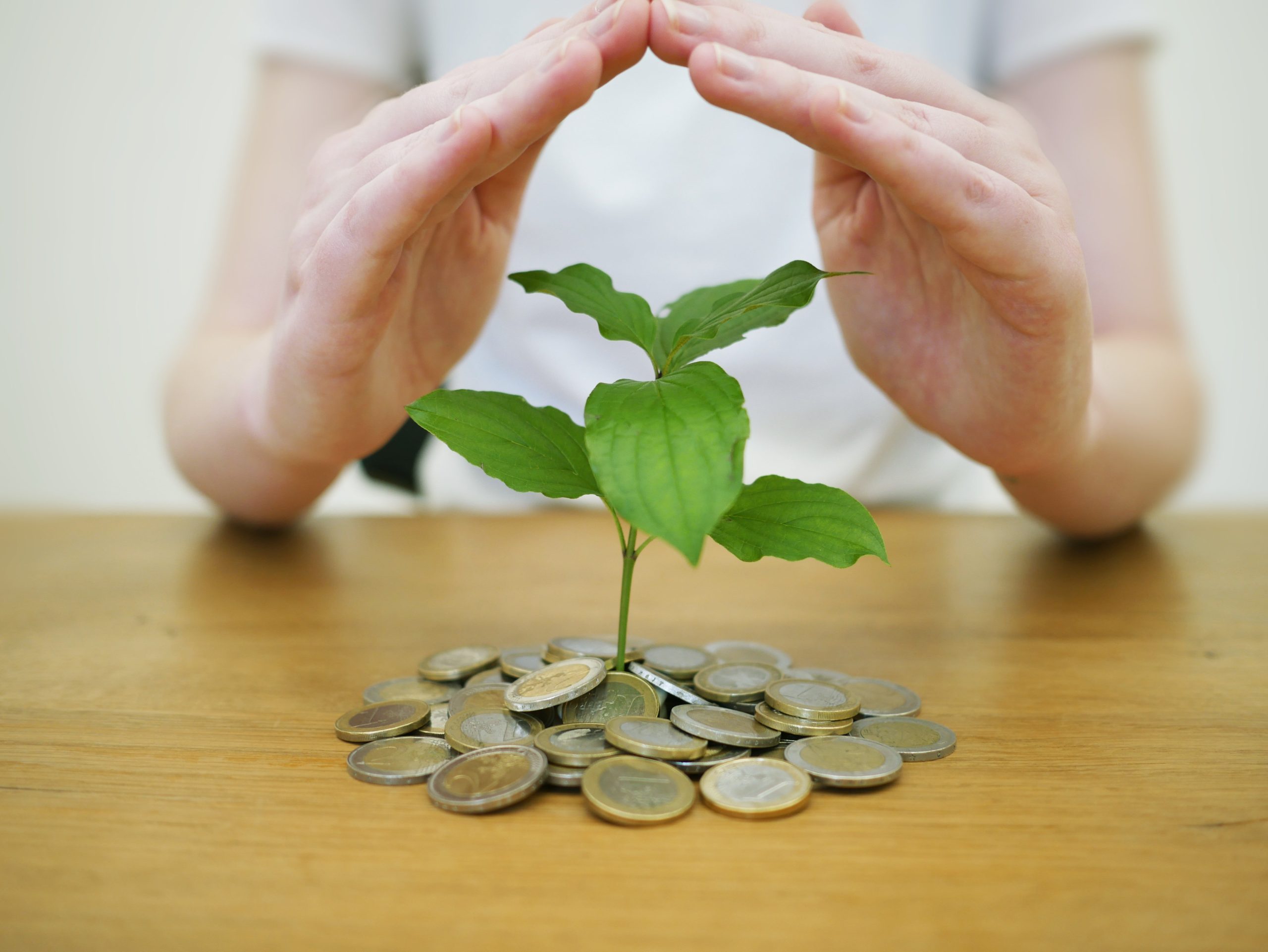 Image shows a person protecting their money in the shape of a tree sapling